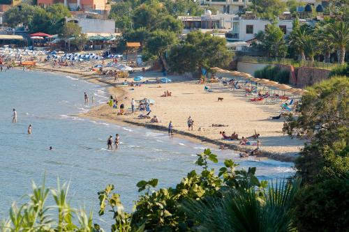 Golden Sand Hotel - image 10