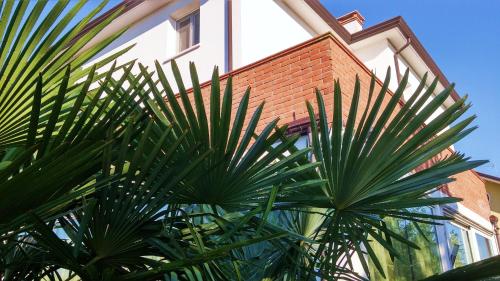  Dream, Pension in Favaro Veneto