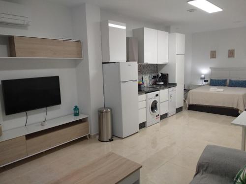 Apartamentos Cordoba, Córdoba (photo 4)