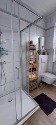 Comfort Apartment with Shower