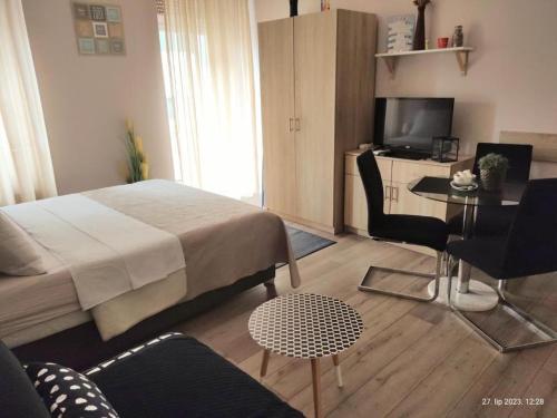 Studio room in Apartment Fiume