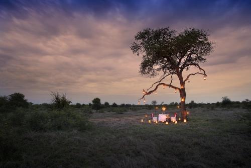 Tanda Tula Safari Camp