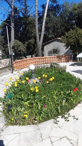 La Souleiado – Lorgues, ID