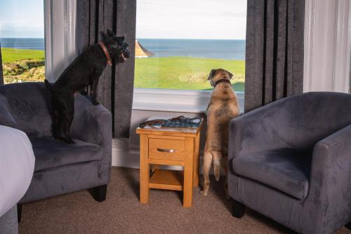 Surrounding environment, Sandcliff Guest House in Cromer