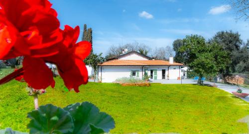 Green Woody Home, Řím (fotografie 2)