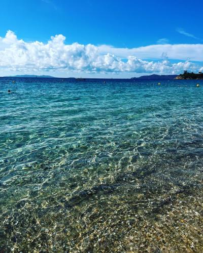 Bel appartement bleu à la plage pour 4 personnes - Location saisonnière - Le Lavandou