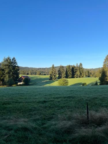 Tröndles Ferienwohnung