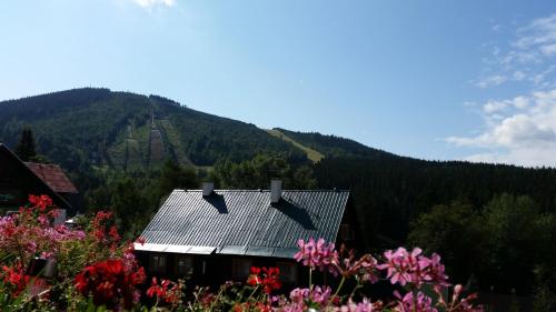 View, Apartment Victoria in Harrachov