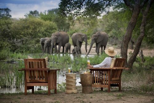 Tanda Tula Safari Camp