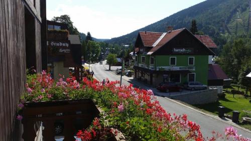 View, Apartment Victoria in Harrachov