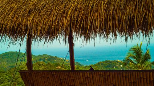 Garden, Horizon Luxury Pool Villas Koh Tao in Jansom Bay