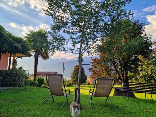 Foresteria Villa Simona 3