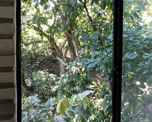 Edén Los Abuelos 2, Casa Privada en Minca Nature