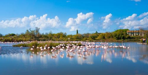 L'étincelle de Camargue, Plage et centre à pied (L'etincelle de Camargue, Plage et centre a pied) in Свети-Мари-дьо-ла-Мер