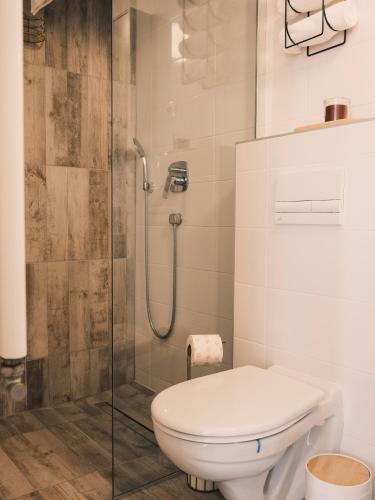 Vannas istaba, Apartmani Venium in Krizevci
