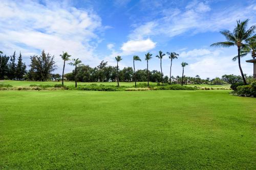 Colony Villas at Waikoloa Beach Resort #904 - image 9