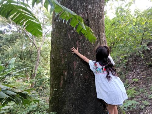 Edén Los Abuelos 2, Casa Privada en Minca Nature