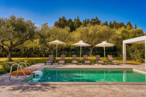 Valeria Luxury Villa - Private Pool - Nestled in Olive Groves Near Tsilivi Beach 3