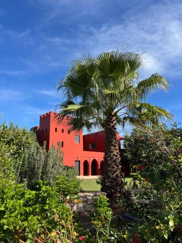 Domaine de l'Arganeraie Essaouira 2