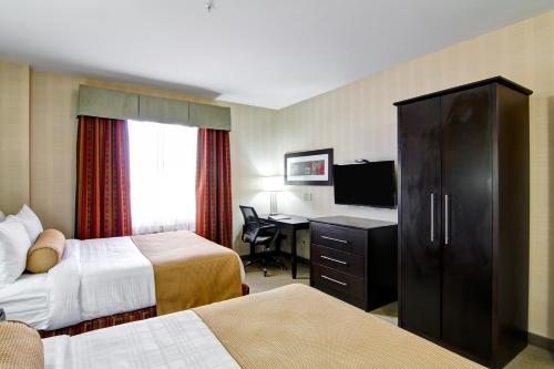 2 queen beds, 1 sofa bed