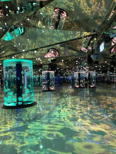 艾尔芙公园行旅 艾尔芙公园行旅