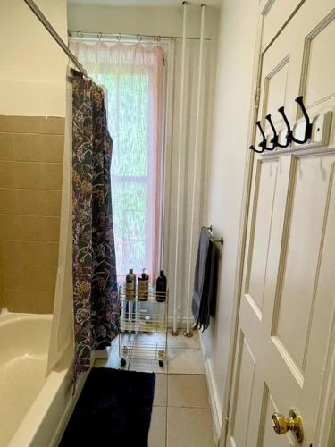 Walk everywhere! Stylish apartment for up to 5 in Albany, USA