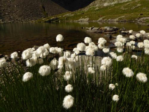 Apart Piz Mondin - image 3