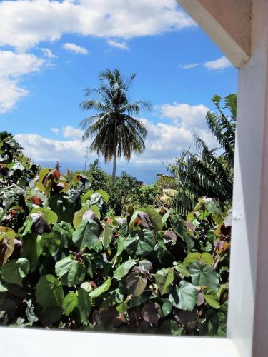 View, Studio lumineux avec vue sur la mer a Baillif – 45 m² + Terrasse in Baillif