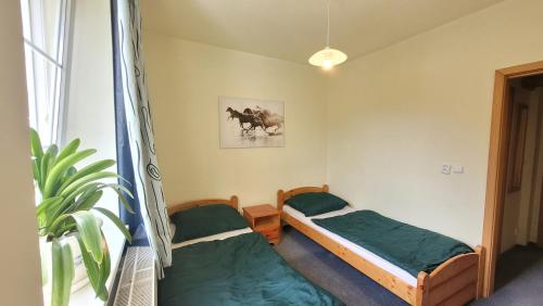 Pension Patanka - image 10