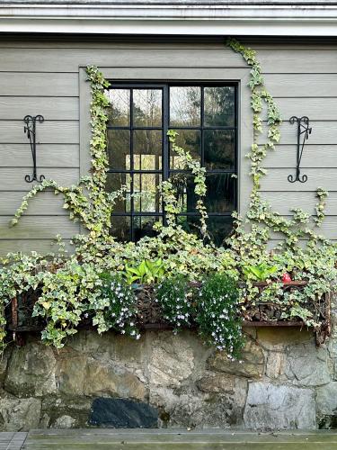 花園, Studio Guest Suite in Forest Cottage in 特賴恩 (NC)