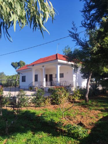 B&B Villa VITTORIO 2