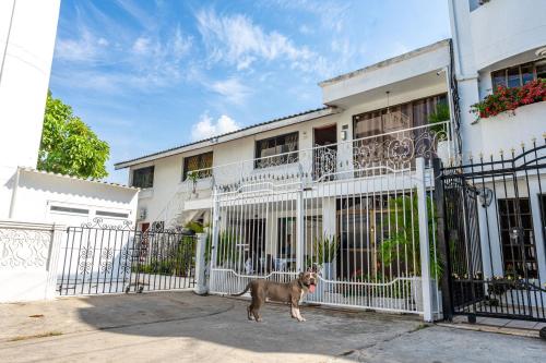 ORESCA Hostel - La Boquilla