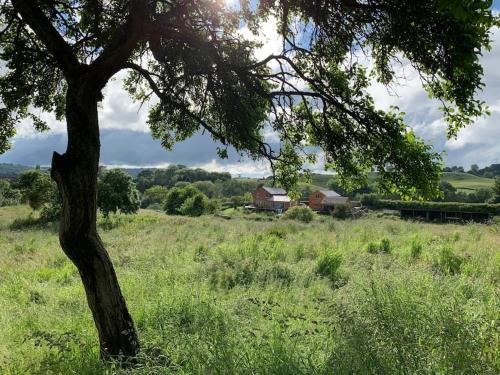 Guest Homes - The Teme Loft