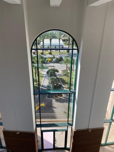 King Dan comfort in Cesaria