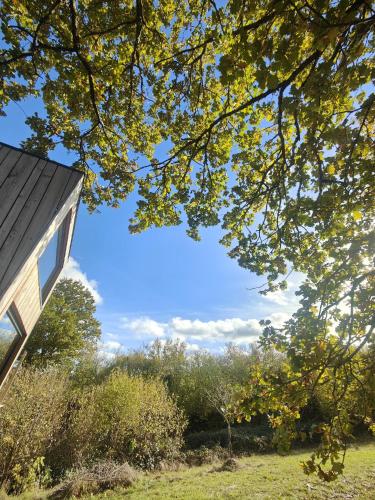 Tiny House MOOSE HOME Les Chaumes