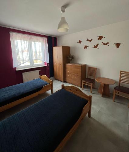 Podlaski Bon Turystyczny eMKa Noclegi apartamenty