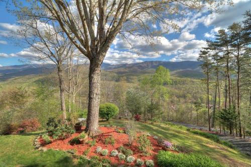 4 Seasons Lodge in Gatlinburg, USA