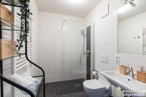 PINEAPPLE APARTMENTS - Studio-Apartment am Zwinger, Drážďany (fotografie 3)