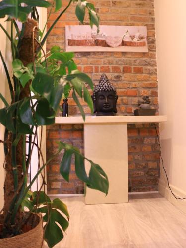 Spire entire apartment no kitchen, Dublin (fotografie 2)