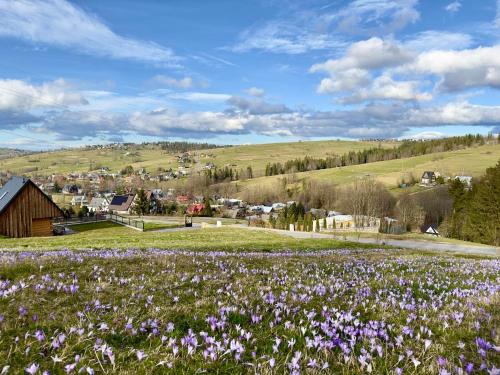 Bystre DOMKI Bystre DOMKI