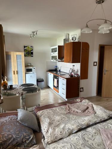 Apartmán LOSONCI Nesvady- pre 2 osoby štúdio