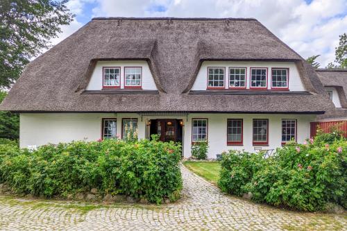 Seestern in Vollerwiek