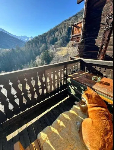 Un nid au paradis - Chalet traditionnel avec beaucoup de cachet in Mayoux, Schweiz
