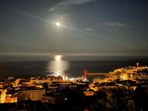 Magnifique F3 Face Iles d'Italie - Location saisonnière - Bastia