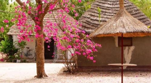 Campement Ass Senghor in Toubakouta