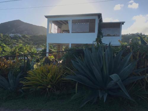 Vista exterior, Antigua Blue in Falmouth