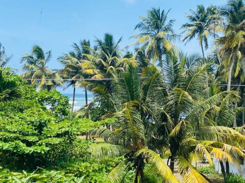 Serendipity Beach Hotel Unawatuna