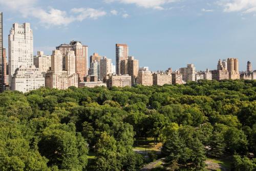 The Ritz-Carlton New York Central Park - image 6