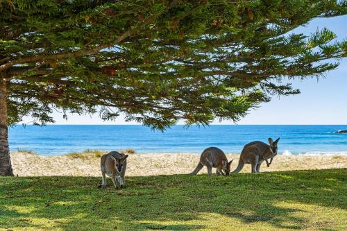 Paradise Retreat - relax & escape in Potato Point