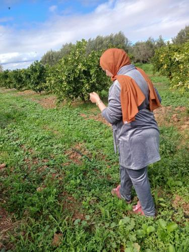 Dar limoune Dar limoune